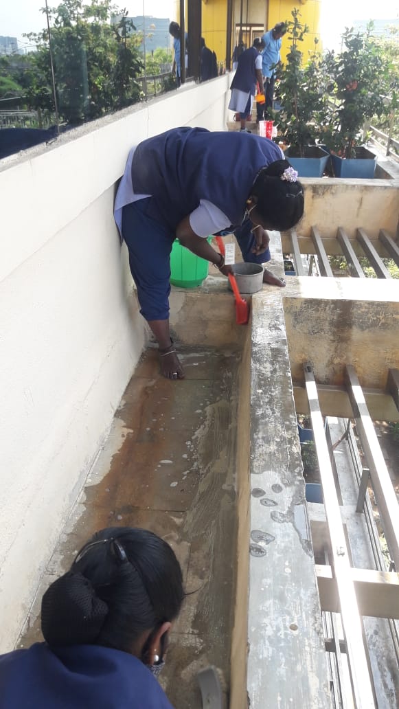 deep cleaning -3